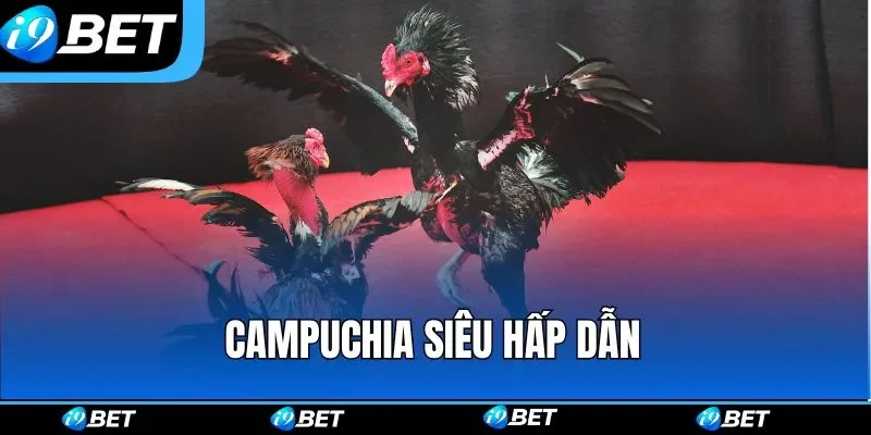 Campuchia siêu hấp dẫn