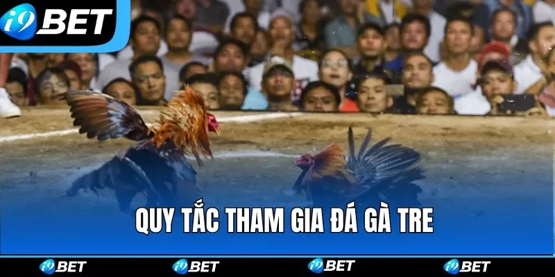Quy tắc bất di bất dịch khi tham gia đá gà tre
