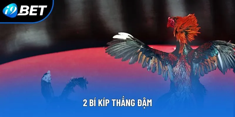 2 bí kíp thắng đậm